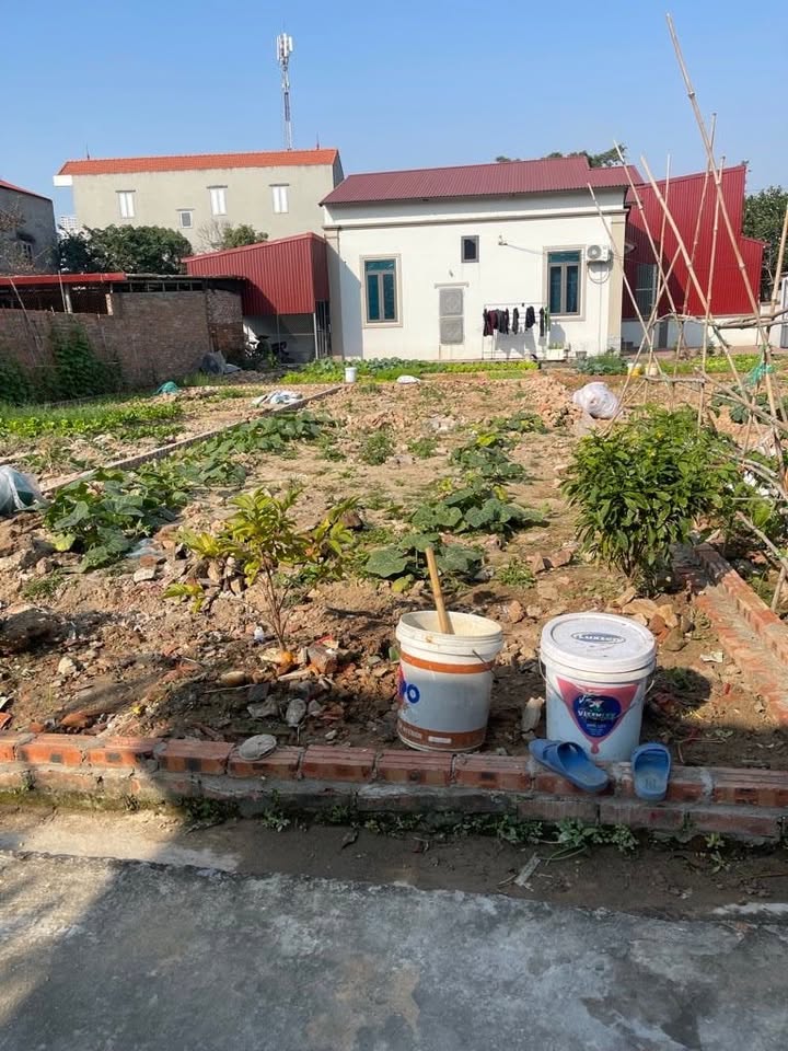 Đất nền Thị trấn Trâu Quỳ, Gia Lâm 45m² chỉ 3.1 tỷ - Vị trí đắc địa, đầu tư sinh lời!