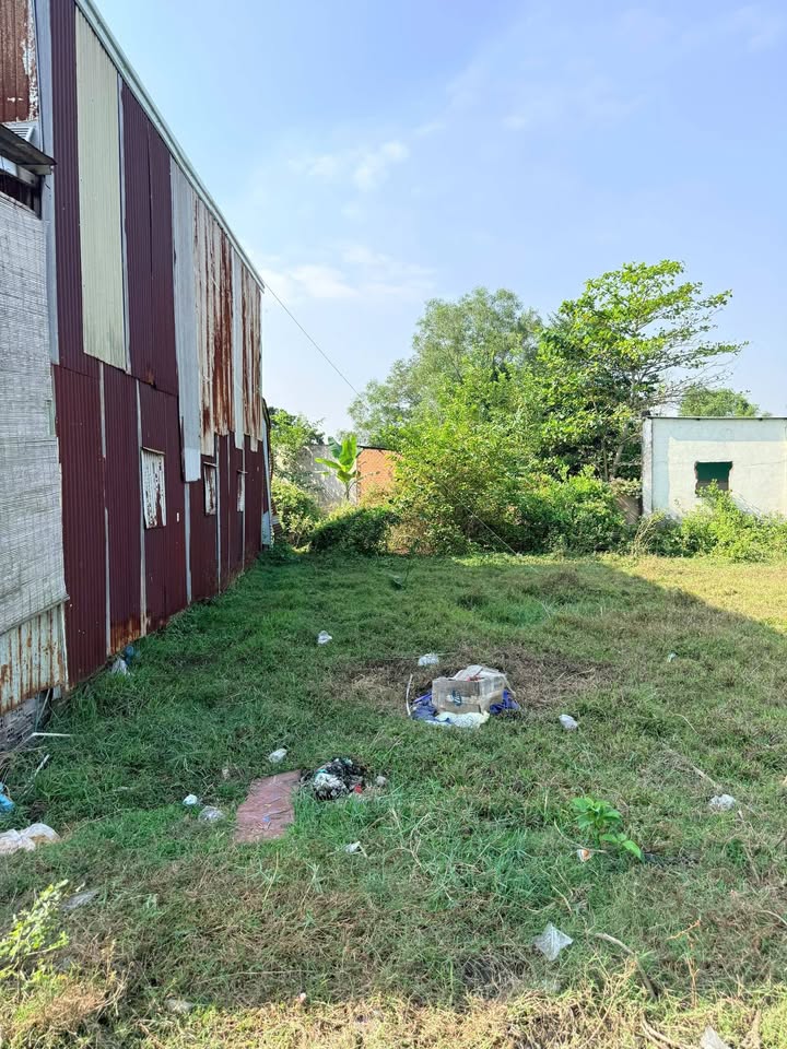 Đất nền Xã Long Phước, Huyện Long Thành, Diện tích 85m², Giá 3 tỷ - Đầu tư sinh lời ngay!