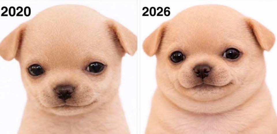 Căn hộ Park 70m² giá 9.8 tỷ - View sông tuyệt đẹp, sẵn sổ hồng