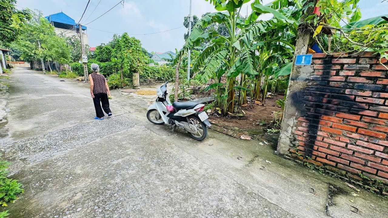 Đất thổ cư lô góc Thanh Oai 46m² giá 2 tỷ - Tiềm năng phát triển lớn!