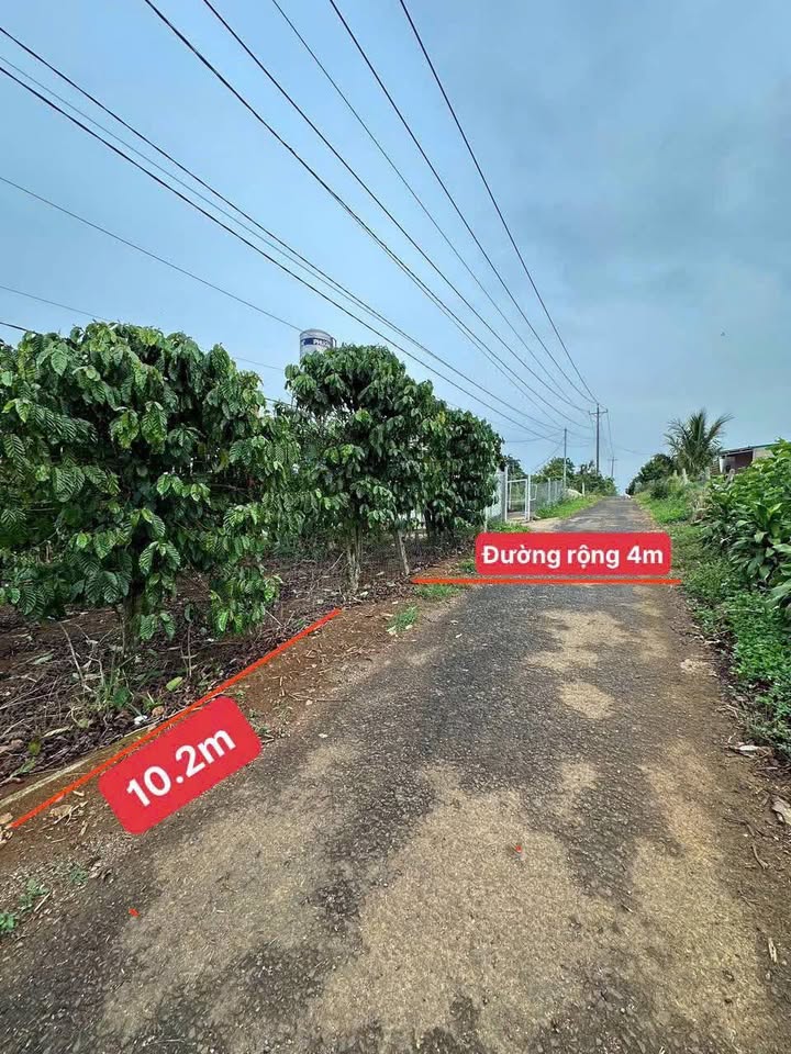 Đất nền 500m² hẻm nhựa Nguyễn Viết Xuân, Bảo Lộc - Cơ hội đầu tư lý tưởng chỉ 999 triệu!