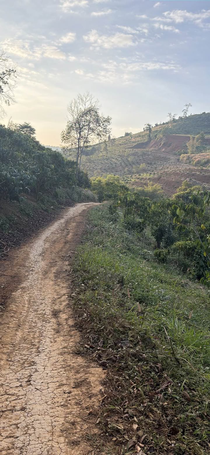 Đất nền Lộc Bảo Bảo Lâm 7200m² giá 1.44 tỷ - Cơ hội đầu tư hấp dẫn!