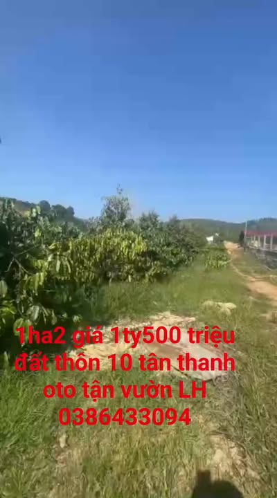 Đất nền 1ha2 tại xã Tân Thanh, Lâm Hà chỉ 1.5 tỷ - Cơ hội đầu tư tuyệt vời!