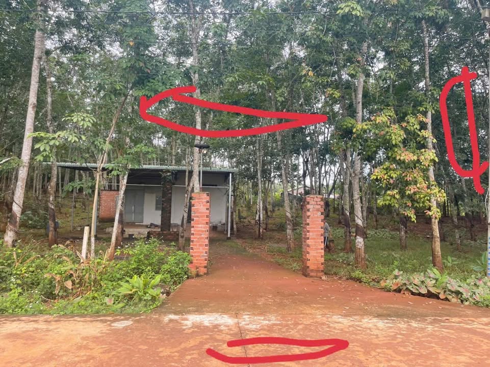 Đất thổ cư 3,800m² Phường Hưng Chiến - Giá chỉ 2.5 tỷ, sẵn sàng giao dịch!