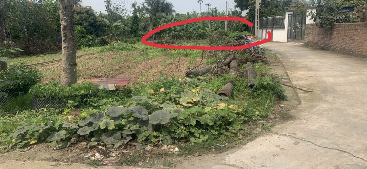 Đất nền xã Vĩnh Cường, huyện Thanh Hà 106m² giá 700 triệu - Cơ hội đầu tư hấp dẫn!