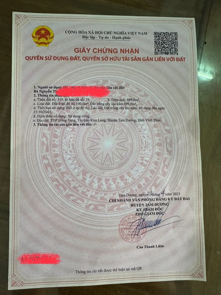 Đất nền 600m² tại Đông Vang, Kim Long, Vĩnh Phúc giá chỉ 7x triệu - Đầu tư sinh lời ngay!