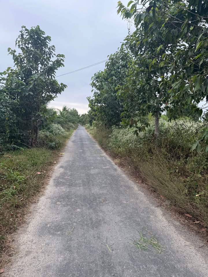 Đất ở Hòa Lạc B, Trà Vinh 185m² giá 380 triệu - Mặt tiền đường nhựa, hướng Đông