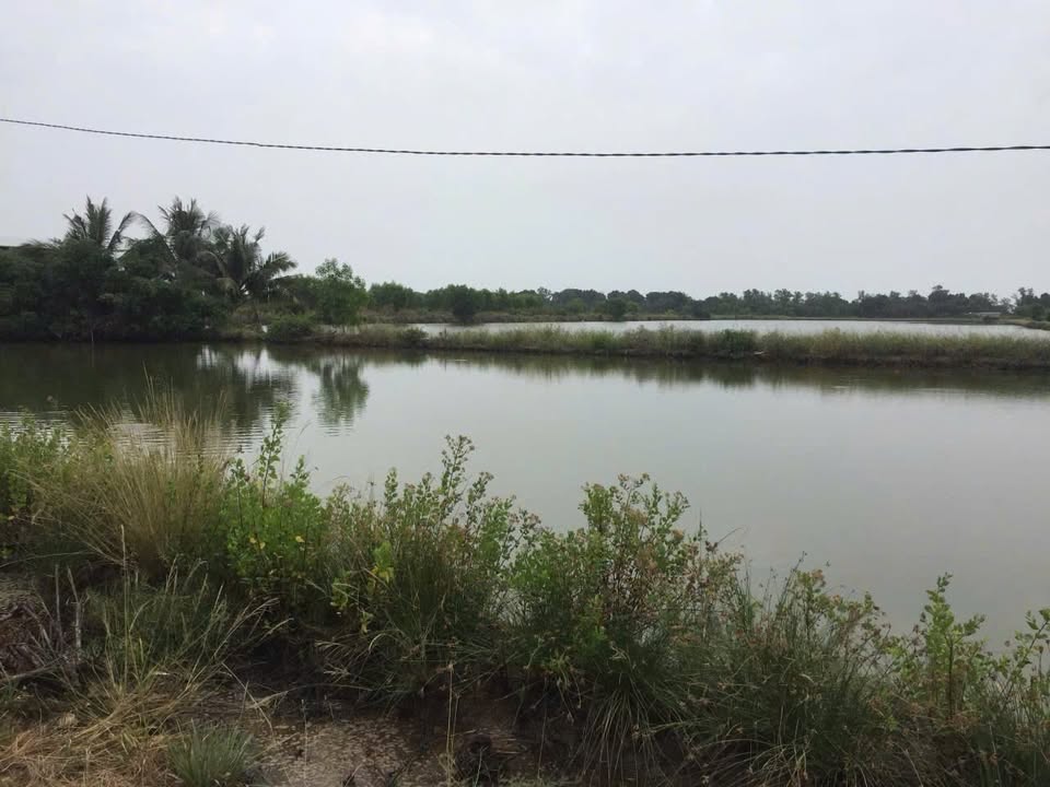 Bán đất nông nghiệp mặt tiền Đê Quốc Phòng, Huyện Hòn Đất, 30 công giá 117 tỷ - Cơ hội đầu tư tuyệt vời!