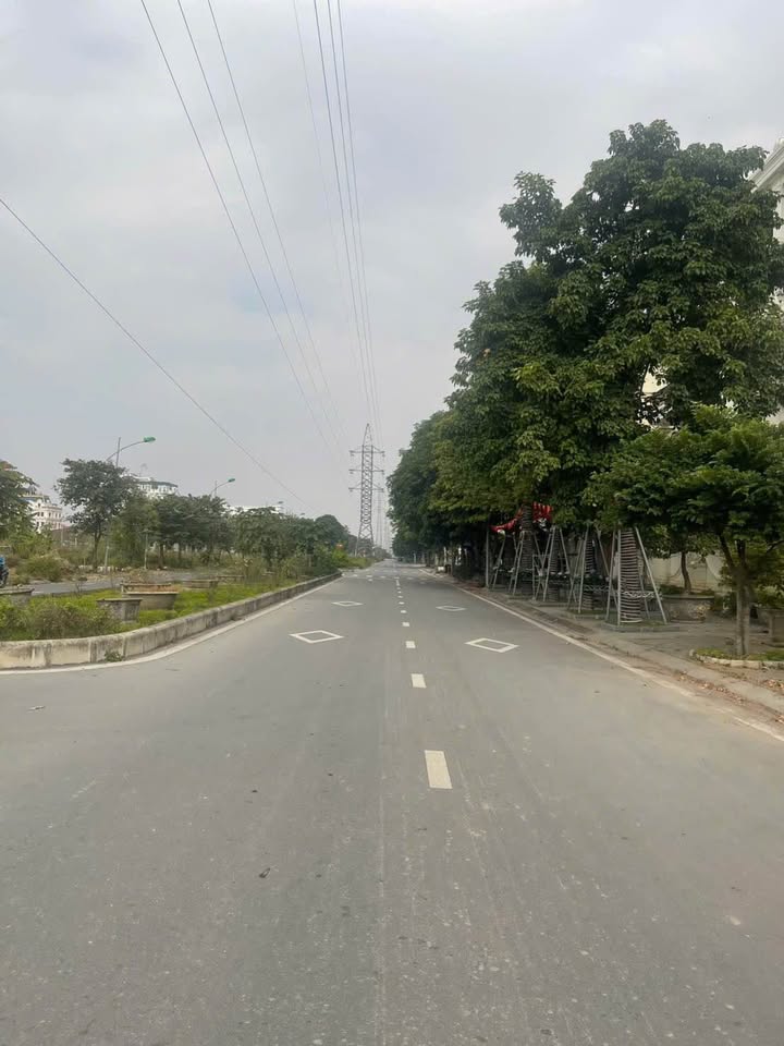 Lô đất 2 mặt tiền BT Đỉnh Long, Thanh Bình, 195m² - Cơ hội đầu tư sinh lời!