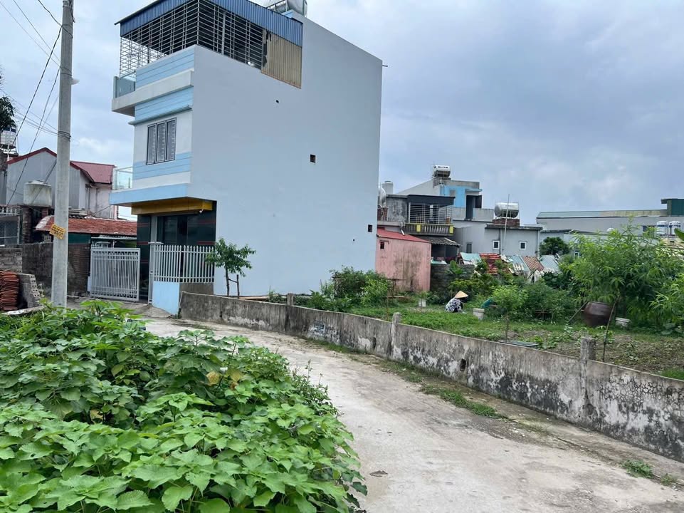 Đất thổ cư Hạ Long Vân Đồn 1317m² giá 400 triệu - Đường ô tô vào thoải mái!