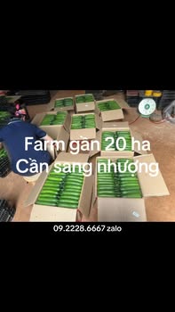 Farm 20ha tại Tân Phú, Hồ Chí Minh giá 42 tỷ - Đầu tư sinh lời ngay!