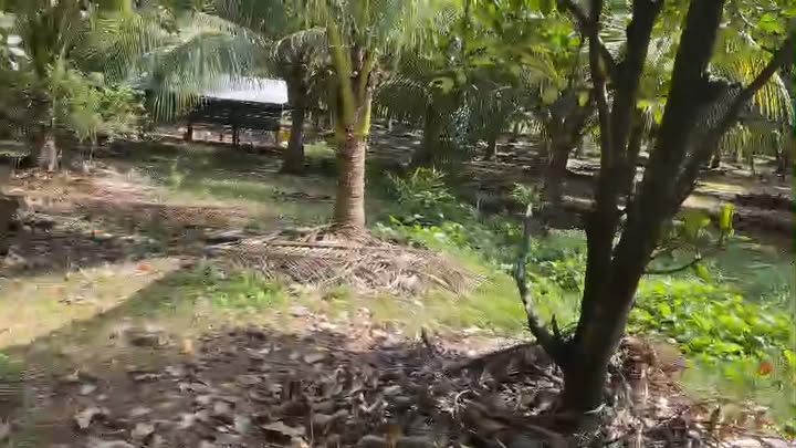 Lô đất Đắt Lộc Vĩnh Phương 4500m² giá 9.9 tỷ - Cơ hội đầu tư hấp dẫn!