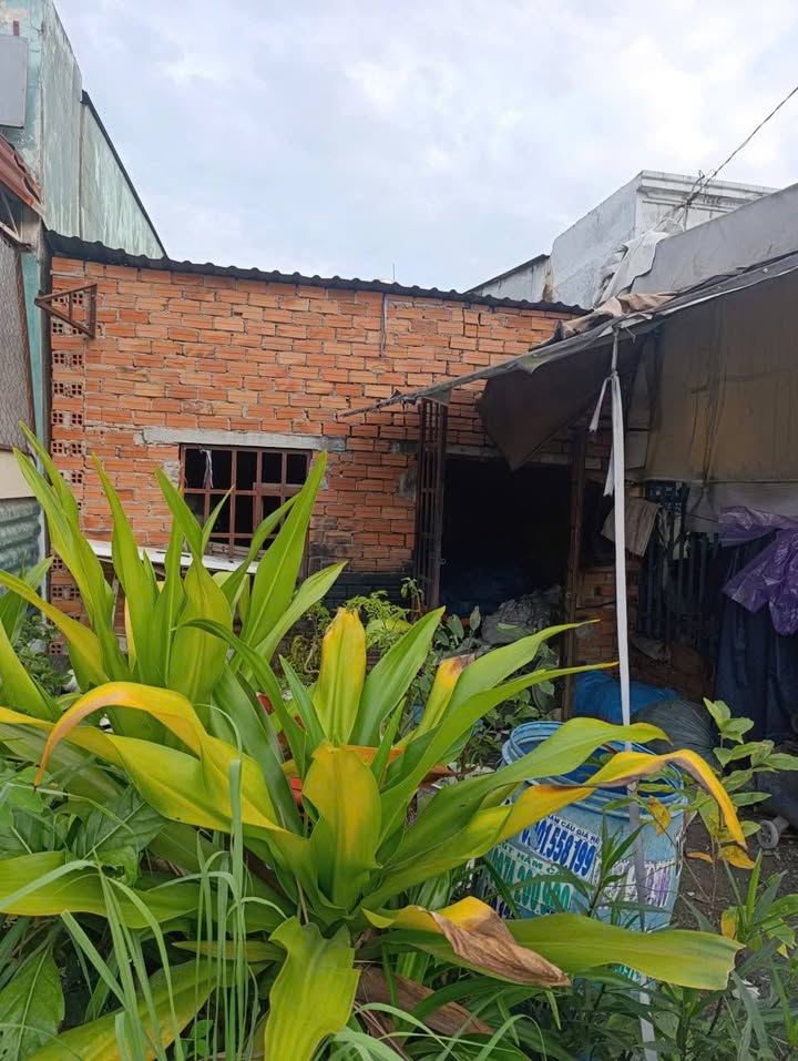 Nhà cấp 4 xã Bình Mỹ huyện Củ Chi 100m² giá 450 triệu - Cơ hội đầu tư hấp dẫn!