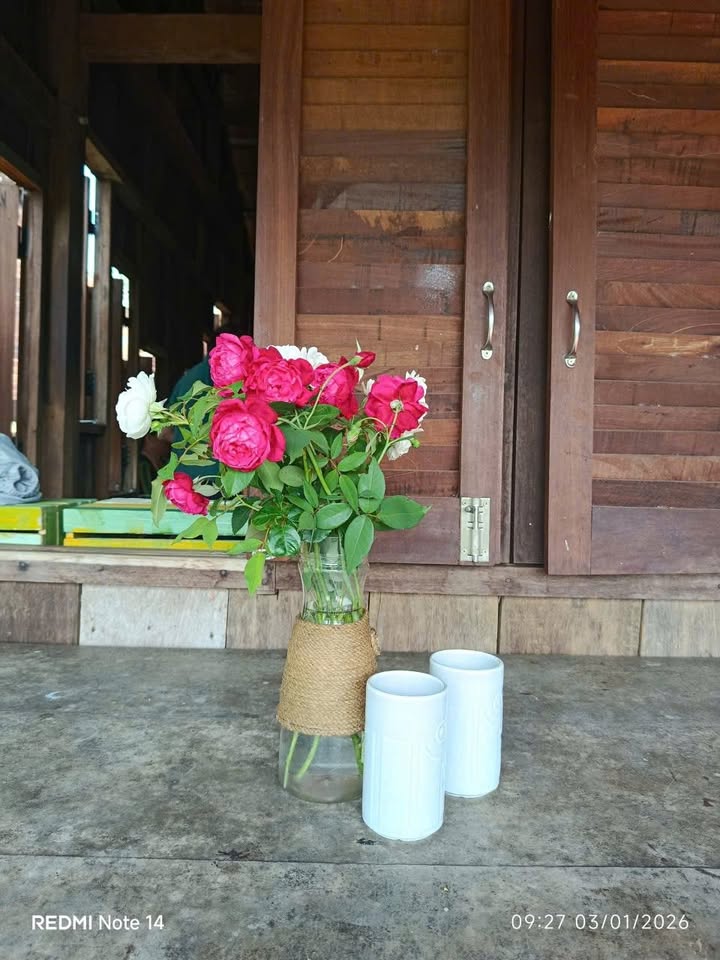 Nhà phố 60m² tại Phường Tân Thới Hiệp, Quận 12 - Tổ ấm an yên giữa lòng Sài Gòn