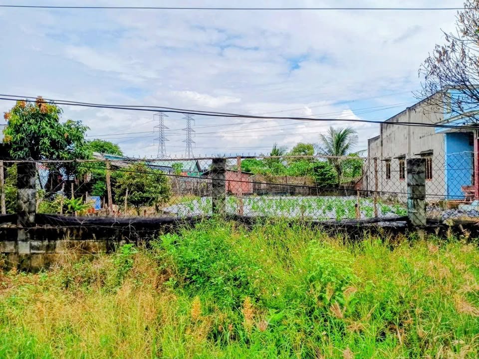 Bán gấp FrontHouse Kinh Cống Bà Bông Đức Hòa 780m² chỉ 7 tỷ - Đường container tiện lợi!