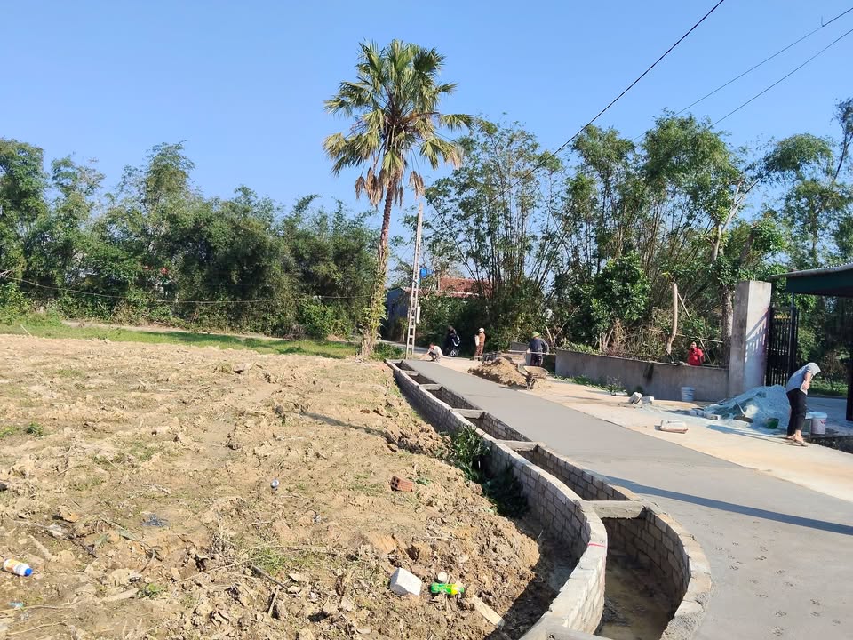 Đất nền Cẩm Hưng 264m² giá 390 triệu - Đầu tư sinh lời ngay