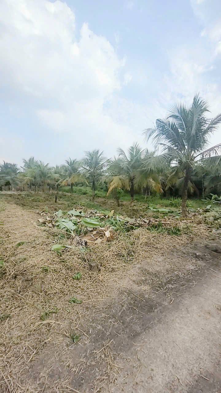 Đất nền 362m² Phường Phú Tân Bến Tre giá chỉ 1.05 tỷ - Đầu tư sinh lời!