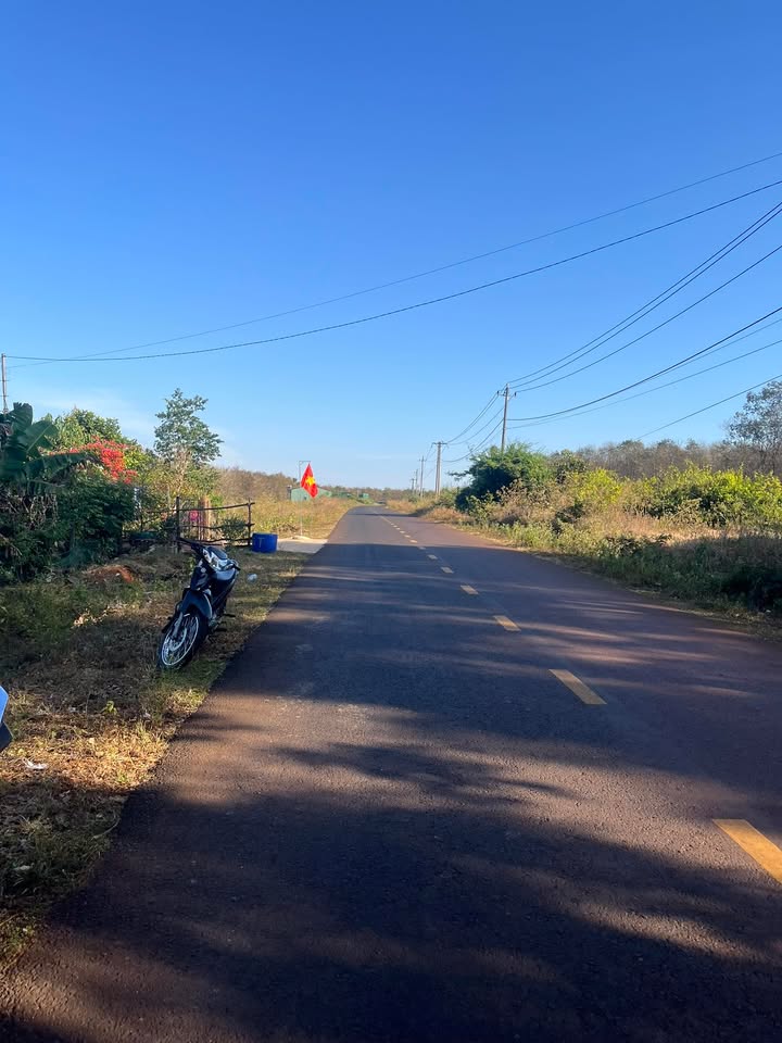 Đất thổ cư đường Thanh Niên, Đức Cơ 224m² giá chỉ 500 triệu - Cơ hội đầu tư tuyệt vời!