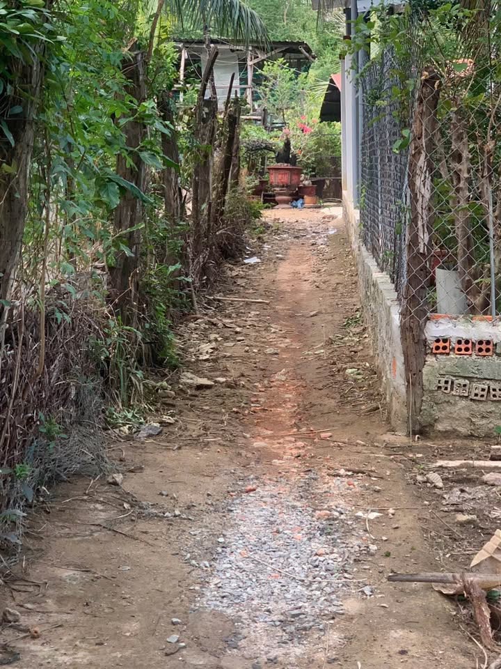 Đất nông nghiệp 200m² tại Phan Rang - Giá thỏa thuận - Gần ngã tư nhộn nhịp!