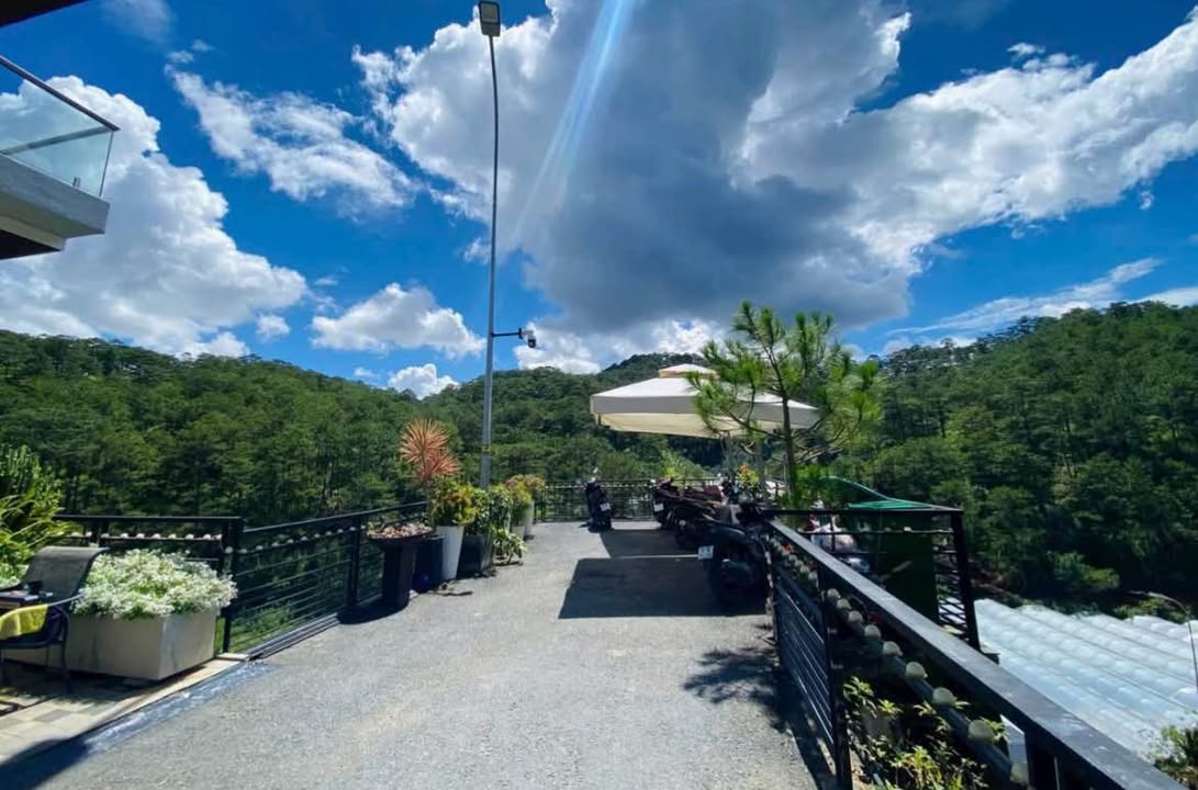 Đất xây villa view rừng thông Hoàng Hoa Thám 251m² giá 7.9 tỷ - Cơ hội đầu tư tuyệt vời!