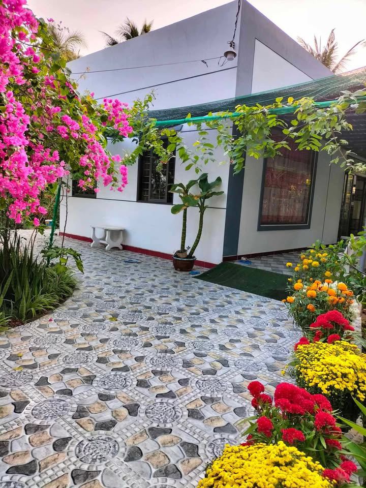 Đất cây lâu năm tại Khu phố Phú Nhuận 1, phường An Hội 1100m² - Giá chỉ 2.6 tỷ!