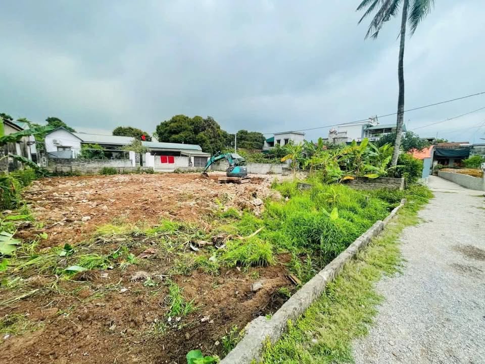 Đất nền lô góc Đại Bái, Thanh Nghị, 248m² giá chỉ 1 tỷ - Đầu tư sinh lời hấp dẫn!