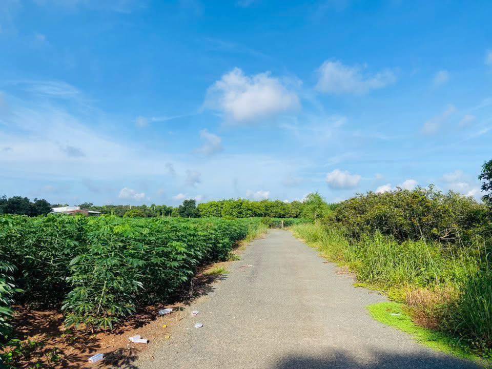 Đất nền Hòa Hội - Xuyên Mộc 8790m² giá 7.5 tỷ - Cơ hội đầu tư vàng!