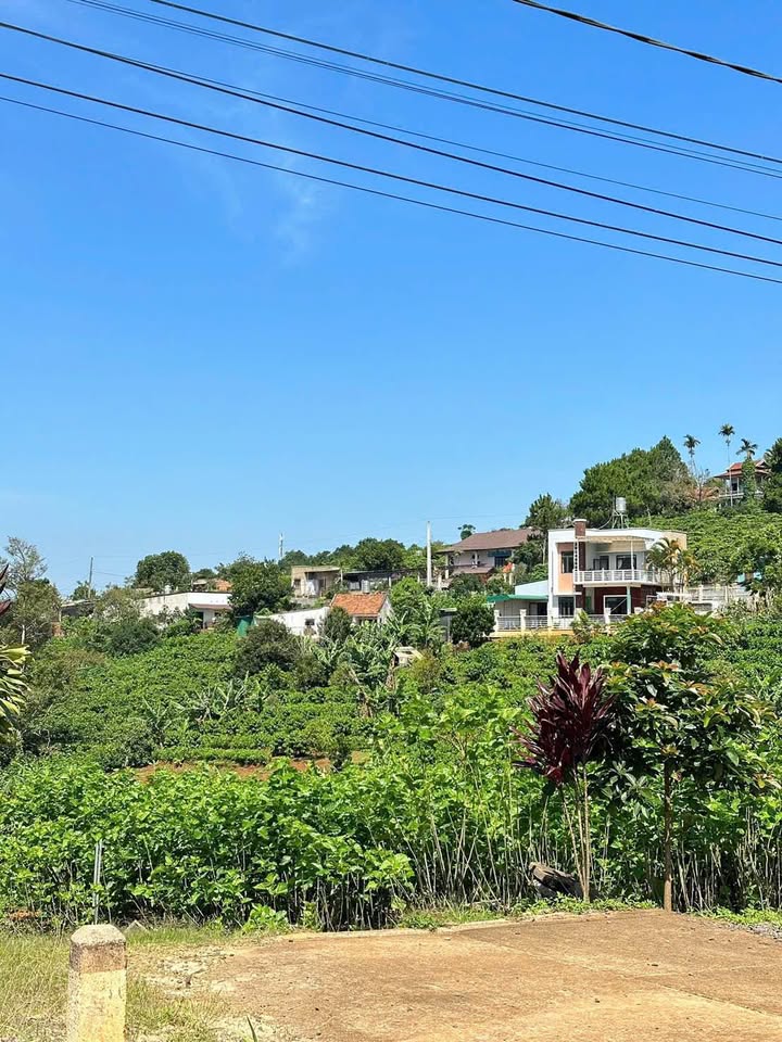 Đất nền Bảo Lộc 3235m² giá 10.5 tỷ - Mặt tiền Tôn Thất Thuyết, đầu tư sinh lời!