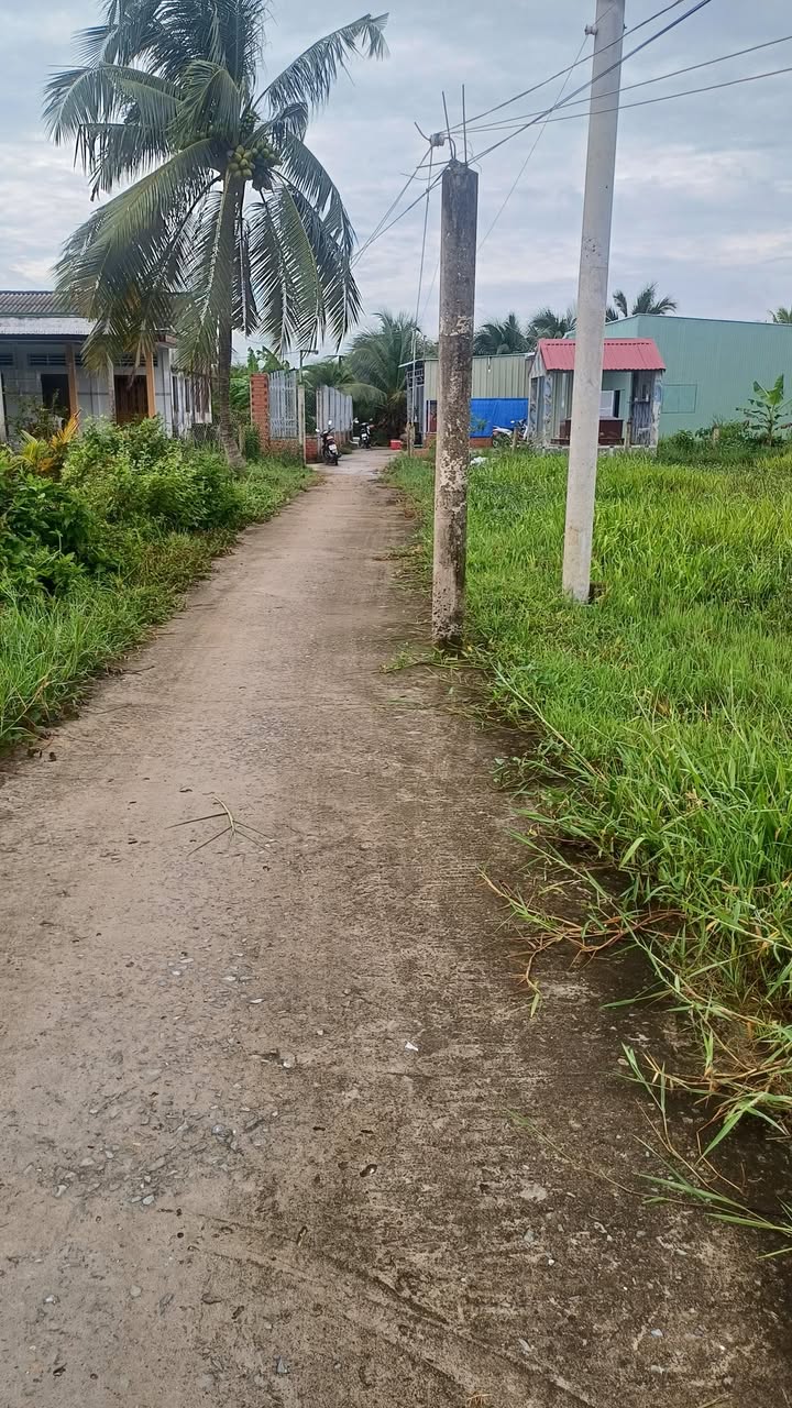 Đất thổ cư 100m² tại xã Tân Hòa Thành, Tiền Giang - Giá chỉ 350 triệu!