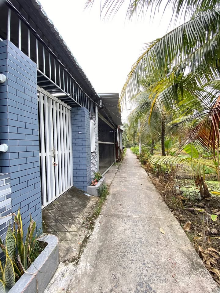 Nhà cho thuê Ấp 4, Xã Trung An, TP Mỹ Tho 88m² - Giá chỉ 3.5 triệu/tháng!