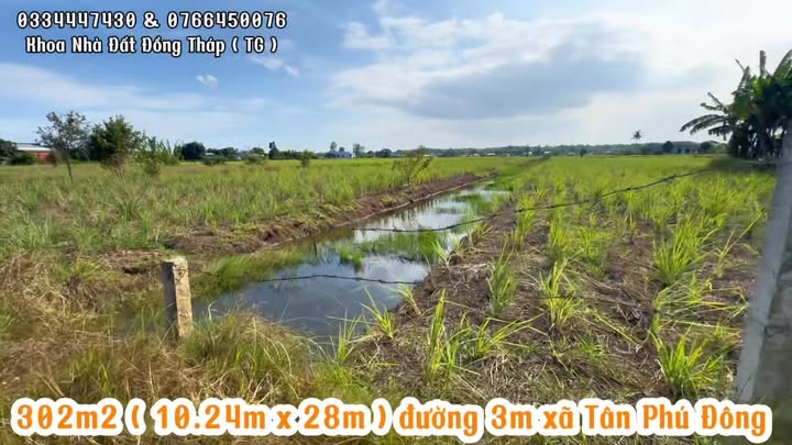Đất nền xã Tân Phú Đông 302m² giá 250 triệu - Đầu tư sinh lời ngay!