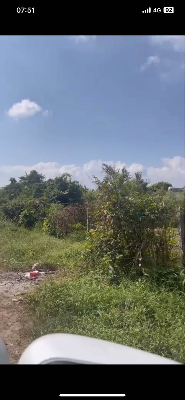 Đất mặt tiền đường nhựa số 13, Phường Long Hoa, 139m² - Giá chỉ 1.73 tỷ!