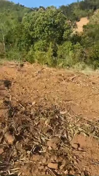 Đất nông nghiệp 3ha tại xã Đắk Blà, TP Kon Tum - Giá chỉ 500 triệu!