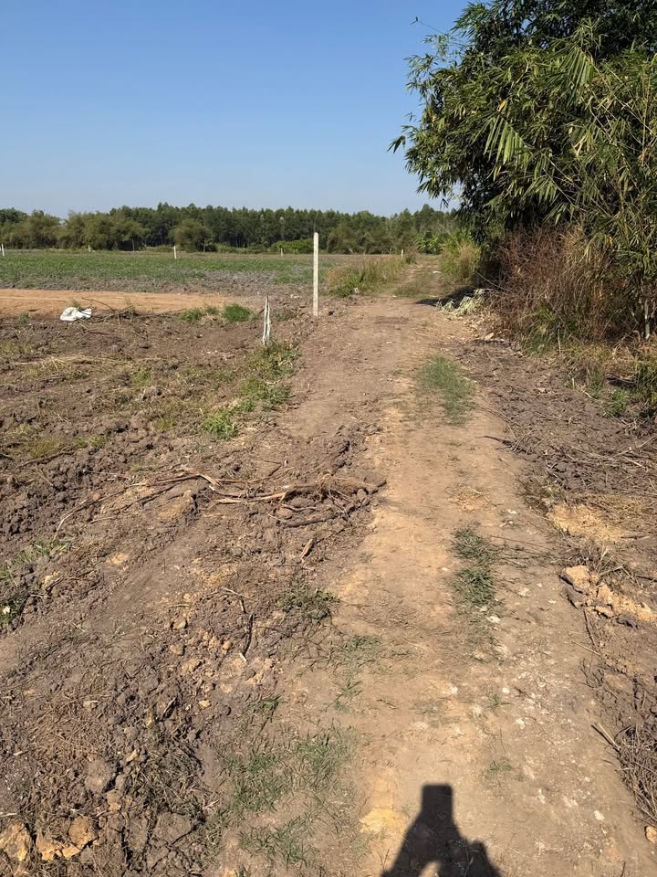 Đất nền Xã Trí Bình, Huyện Châu Thành, Tây Ninh 1147m² giá 20 tỷ - Cơ hội đầu tư tuyệt vời!