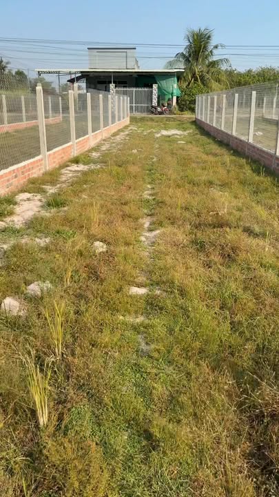 Đất liền kề 175m² xã Long Chữ, Tây Ninh - Giá chỉ 350 triệu!