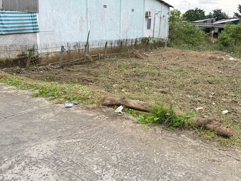 Đất nền Tân Phước, 200m² chỉ 990 triệu - Đường ô tô vào tận nơi!