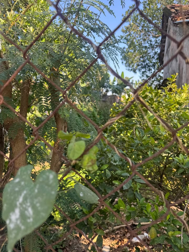 Đất nền Cụm công nghiệp An Lưu, Đà Nẵng 140m² giá chỉ 2.2 tỷ - Cơ hội đầu tư sinh lời!