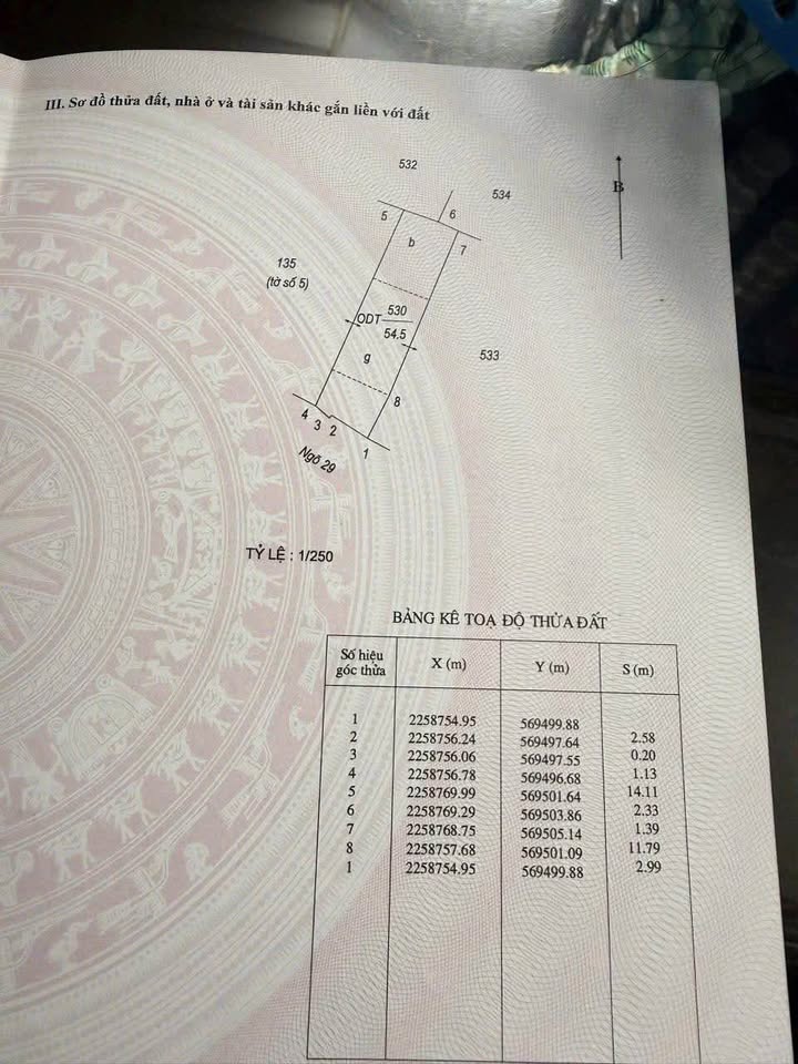 Đất nền ngõ Văn Cao, Nam Định 55m² giá 1.35 tỷ - Chính chủ bán gấp!