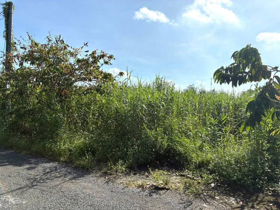 Đất mặt tiền đường Tân Phú, Phường Tân Ngãi 2604.8m² giá 9.5 tỷ - Cơ hội đầu tư đắc địa!