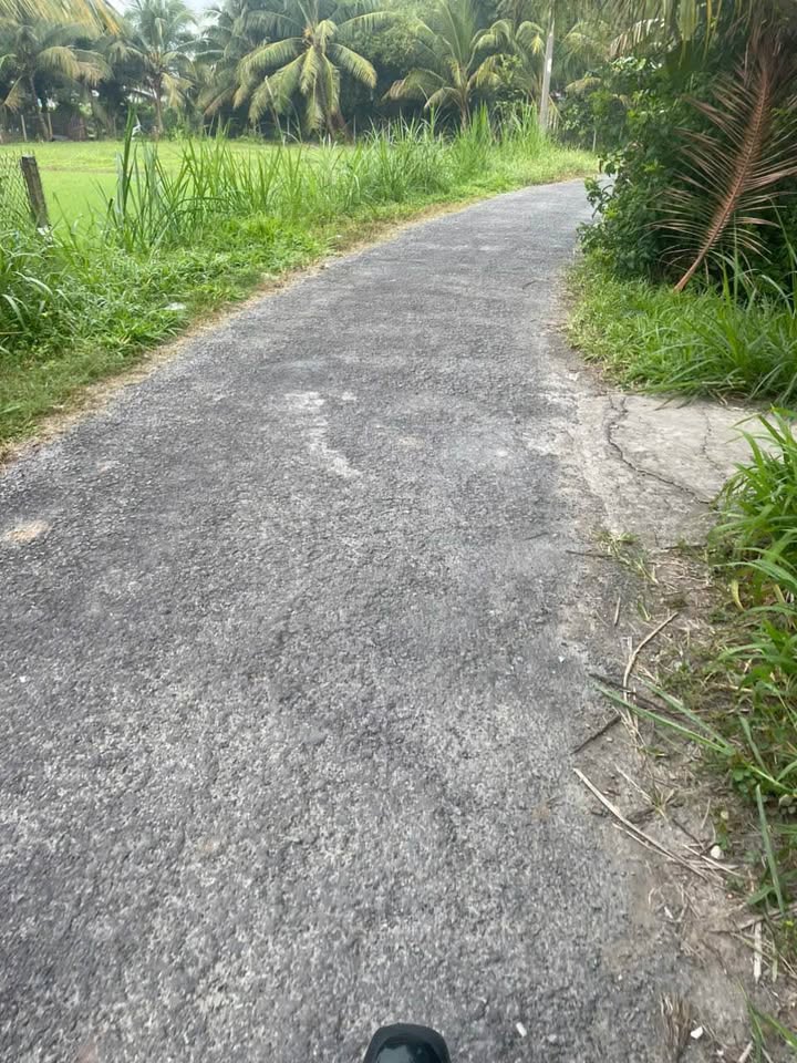 Bán đất nông nghiệp xã Tân Long, huyện Mang Thít 3600m² - Đầu tư sinh lời ngay!