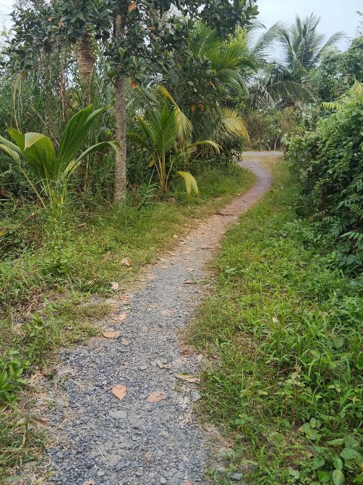 Đất nền 1419m² Khóm Vĩnh Bình, TP Vĩnh Long - Giá tốt, phù hợp làm vườn!