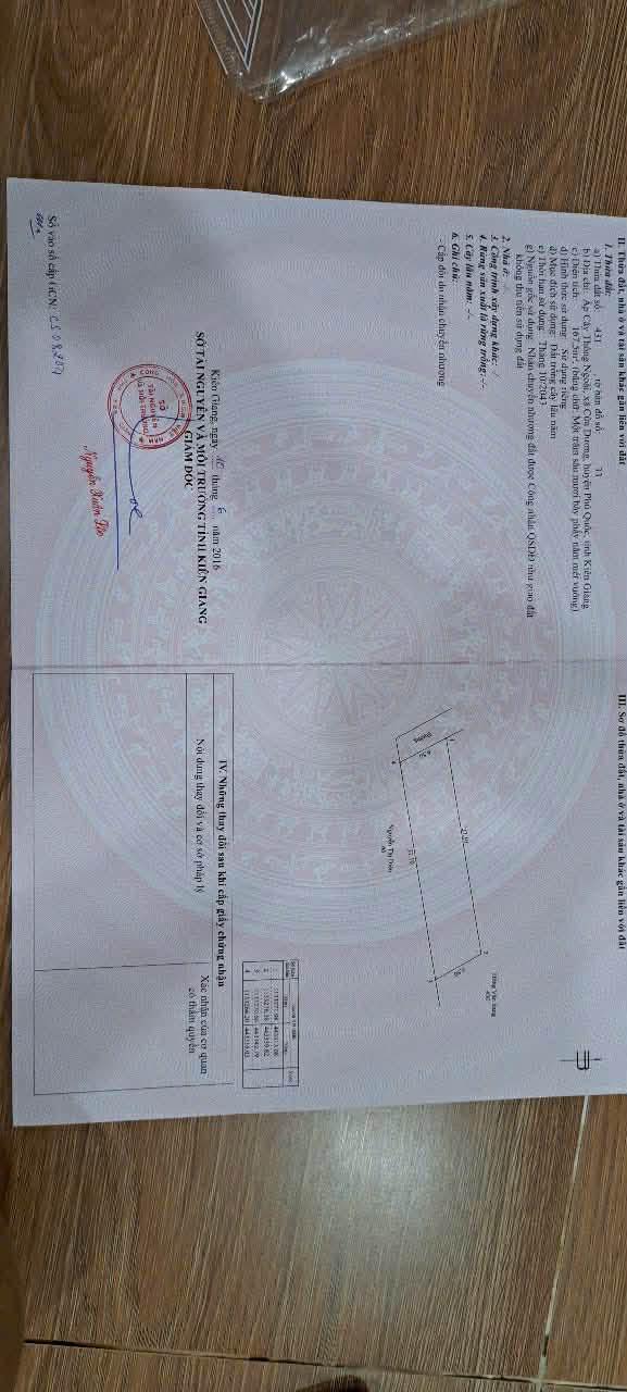 Đất nền Cây Thông Ngoài, Phú Quốc 167,5m² chỉ 1,2 tỷ - Cơ hội đầu tư hấp dẫn!