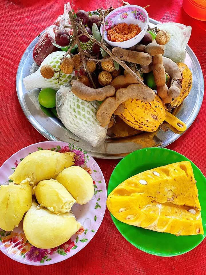 Đất vườn 3000m² tại Khu du lịch sinh thái Vườn Xanh, Tiền Giang - Giá đầu tư chỉ 1.2 tỷ!