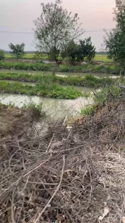 Đất nông nghiệp 3000m² tại thôn 2, Canh Nậu, Thạch Thất - Giá thỏa thuận hấp dẫn!