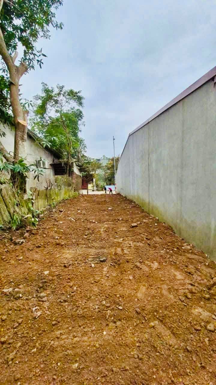 Đất mặt đường Bảo Lương 100m² giá 2.8 tỷ - Vị trí kinh doanh đắc địa!