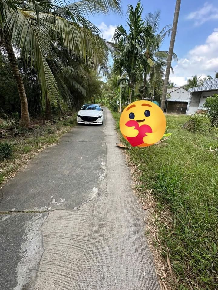 Đất thổ cư 599m² tại xã Định Môn, Cần Thơ - Giá chỉ 450 triệu, đầu tư lý tưởng!