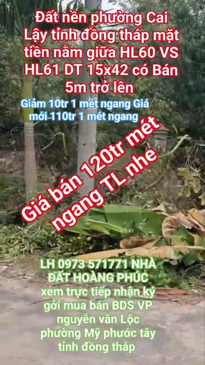 Đất nền 630m² tại Thị xã Cai Lậy, giá chỉ 1.575 tỷ - Vị trí đắc địa, pháp lý rõ ràng!