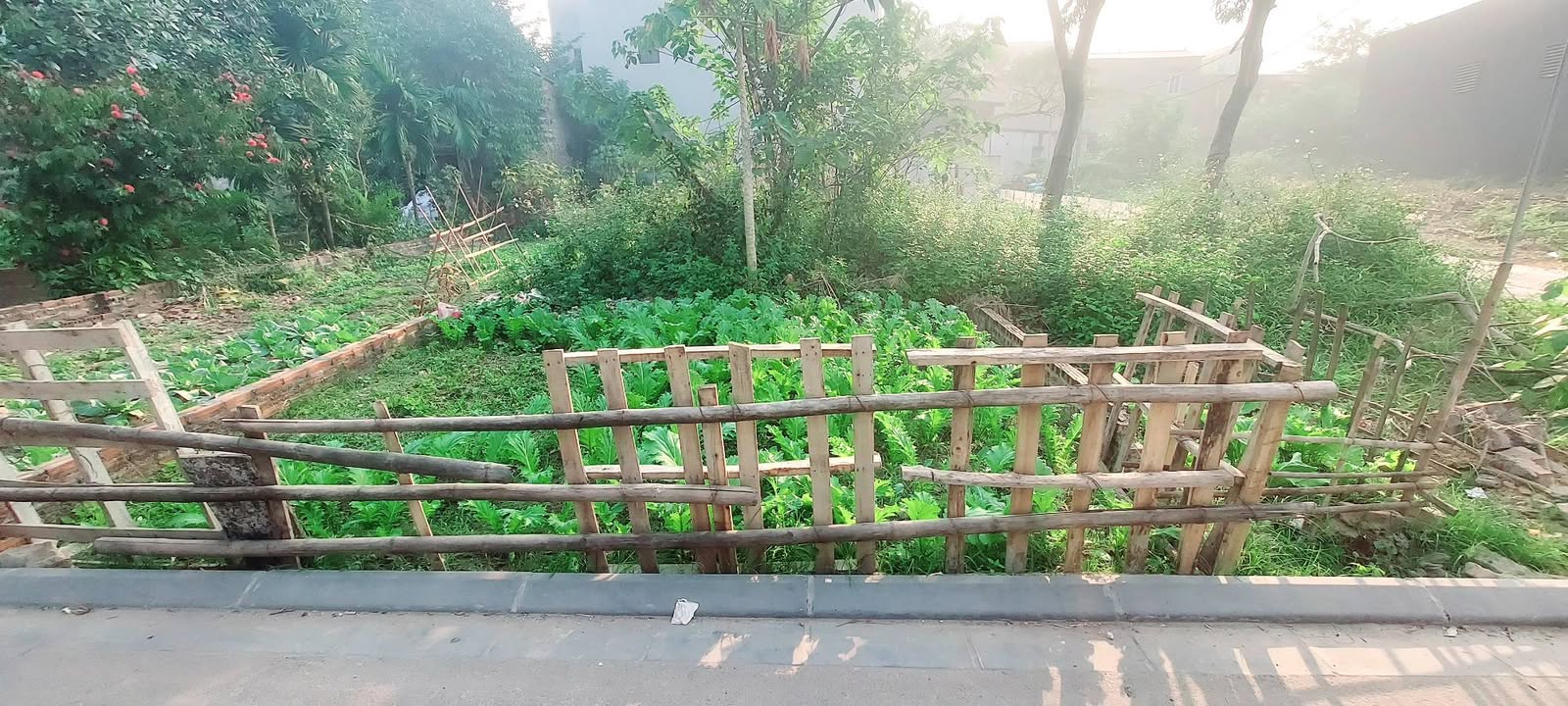 Đất Vân Nội Đông Anh 85m² giá thỏa thuận - Vị trí đắc địa, giao thông thuận lợi