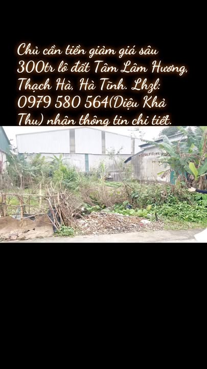 Đất nền Phái Nam, Tân Lâm Hương 379.2m² - Giá tốt, đầu tư sinh lời!