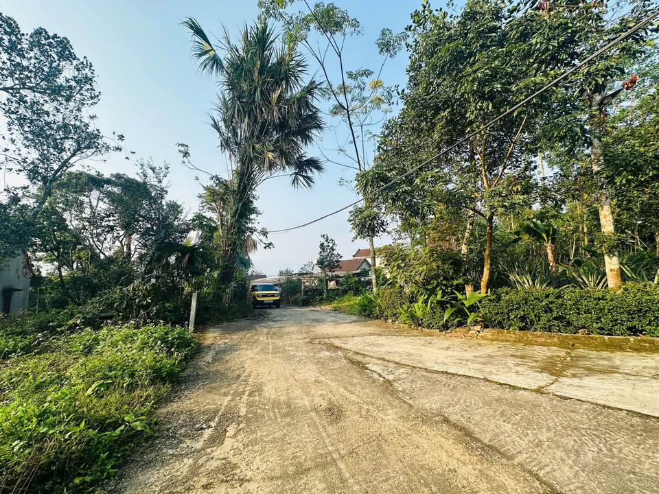 Đất 2 mặt tiền thôn Thiên Thai - Toàn Lưu 501,6m² giá 1 tỷ - Cơ hội đầu tư hấp dẫn!